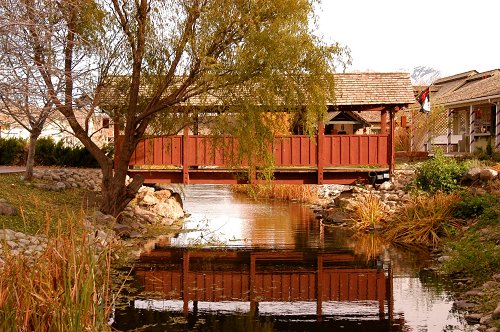 (00008) DSC_0225.jpg